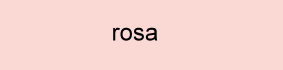 Farbe_rosa_CdR